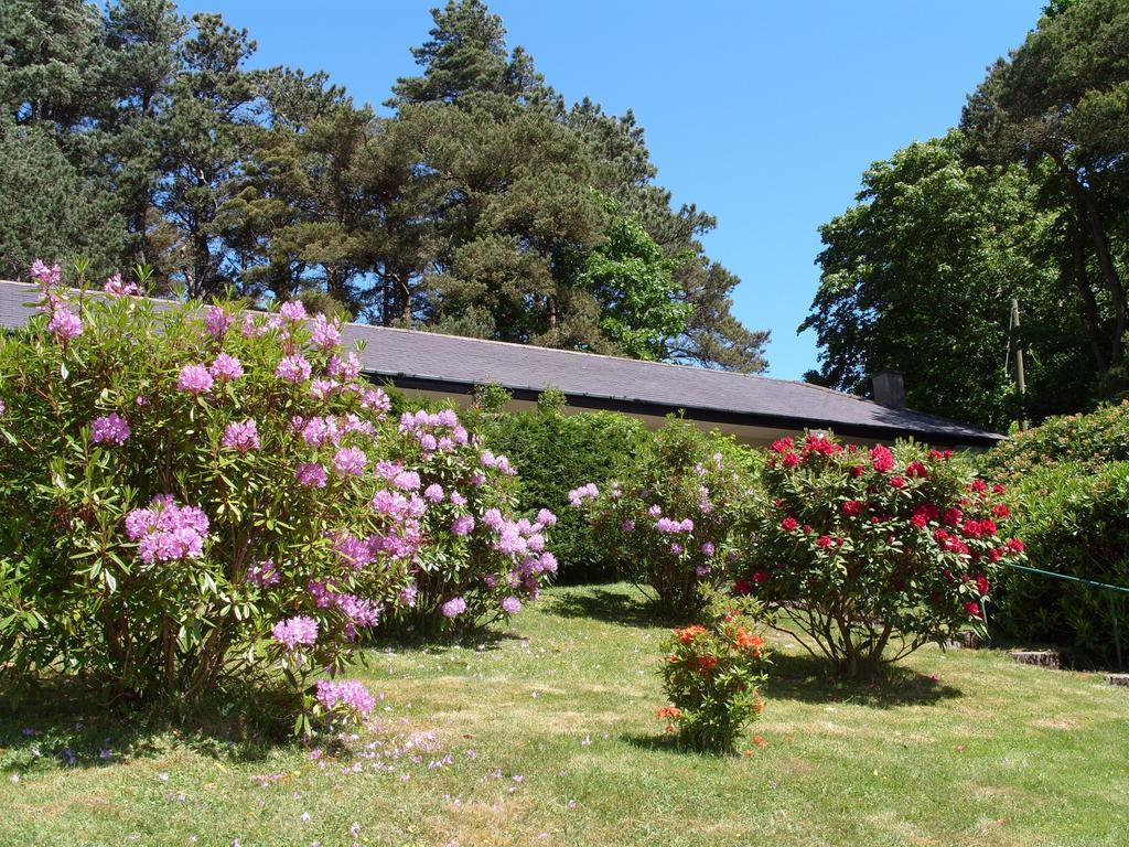 Plas Heulog Holiday Accommodation Llanfairfechan Εξωτερικό φωτογραφία